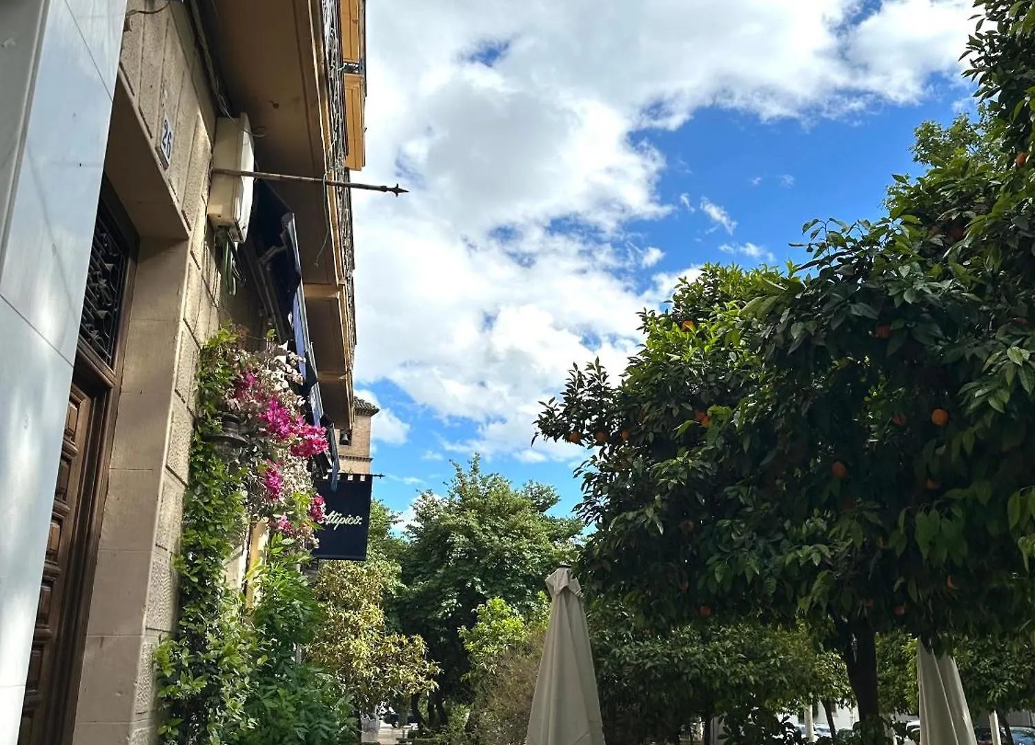 Mevak Home Granada